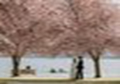 盐城度假酒店 荷兰花海将新增三家度假酒店 总投资近20亿